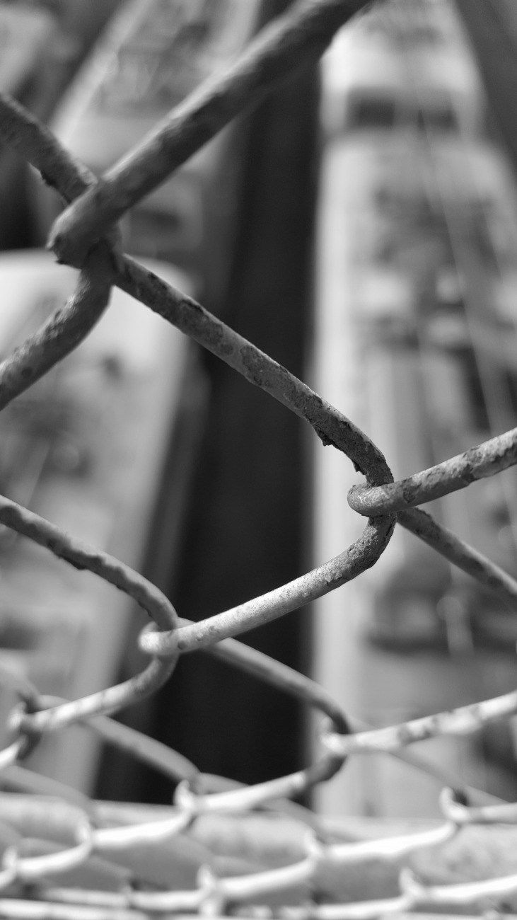 Graffiti Train - Photo by lemmuf