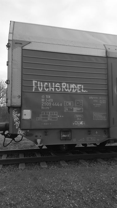 Graffiti Train - Photo by lemmuf