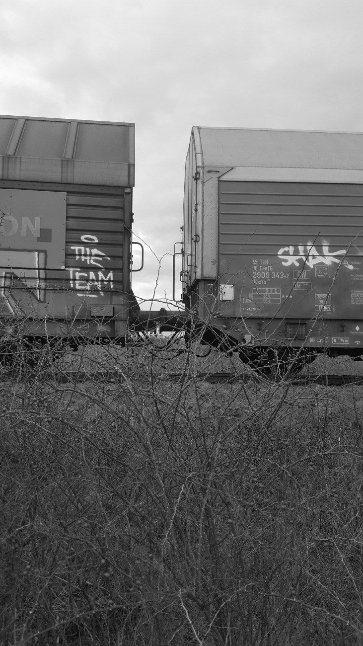 Graffiti Train - Photo by lemmuf