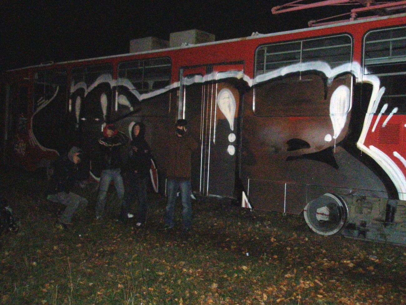 Graffiti Train - Photo by lis - 4line (2011)