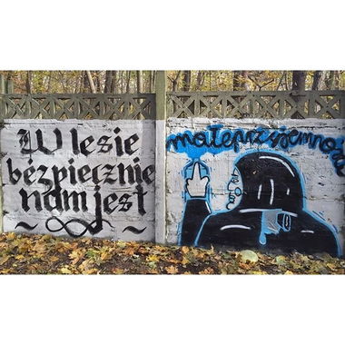 Graffiti Street Art in Warsaw - Photo by littlepleasure - streetart, streetartwarsaw, instagram (2015)