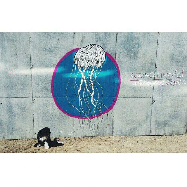 Graffiti Street Art in Warsaw - Photo by littlepleasure - streetart, streetartwarsaw, instagram (2015)