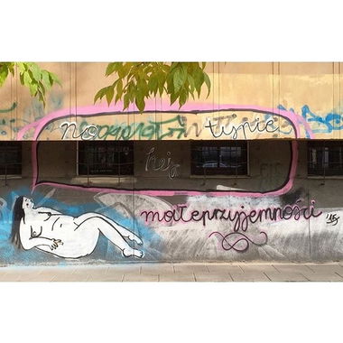 Graffiti Street Art in Warsaw - Photo by littlepleasure - streetart, streetartwarsaw, instagram (2015)