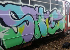 Photo #175790 by Statist