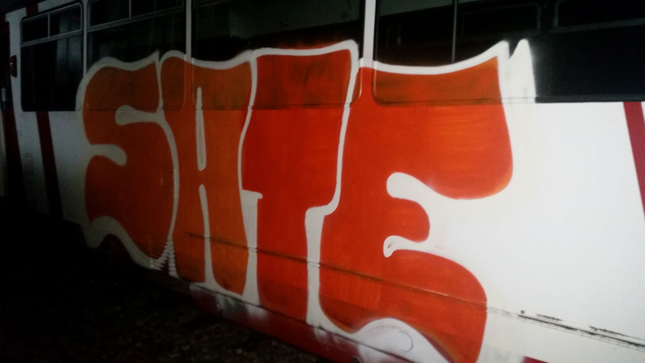 Graffiti Train - Photo by lockigflockig - sate, Heidelberg, tram (2015)