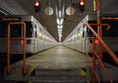 Photo #186227 by dzik