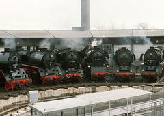 Photo #134106 by exBahner