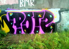 Photo #21530 by Roseone