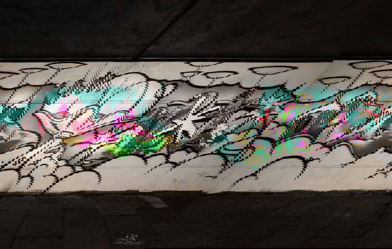 Graffiti Wall in Bremen - Photo by lsphoto - Bremen, Oberneuland, Brücke (unkn)