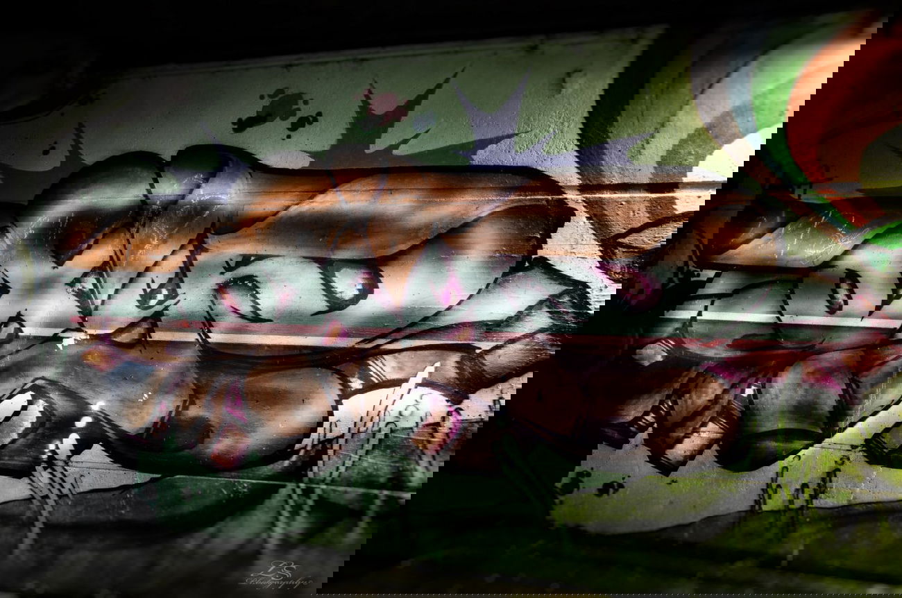 Graffiti Wall in Bremen - Photo by lsphoto - Bremen, Germany, Oberneuland (unkn)