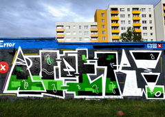 Photo #157577 by TheWallHunter