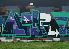 Photo #213679 by TheWallHunter