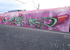 Graffiti Train in Berlin - Photo by m - wholecar, muce, berlin (2011)