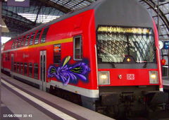 Photo #97712 by TheWallHunter