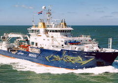 Photo #98247 by TheWallHunter