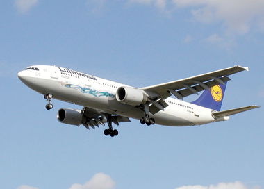 Graffiti Train - Photo by m - flying, high, skywalker