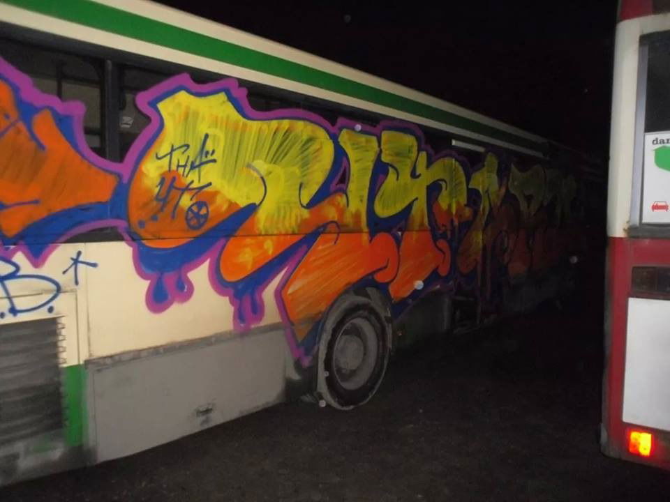 Graffiti Train - Photo by mRzRzR