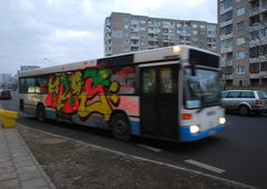 Photo #180041 by OAKEY