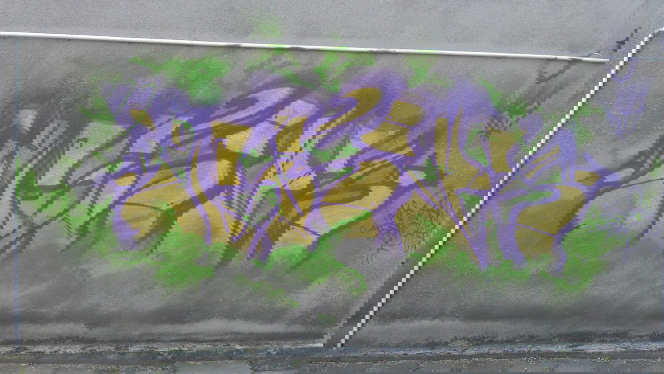 Graffiti Bombing - Photo by macho - Meksyk