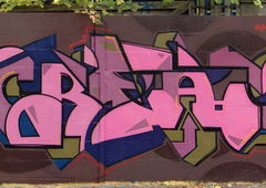 Photo #42830 by Belt