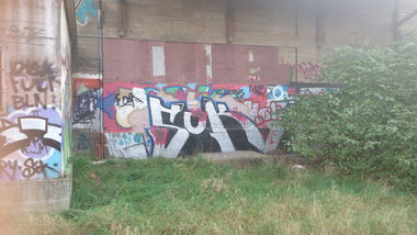 Graffiti Bombing - Photo by madmax