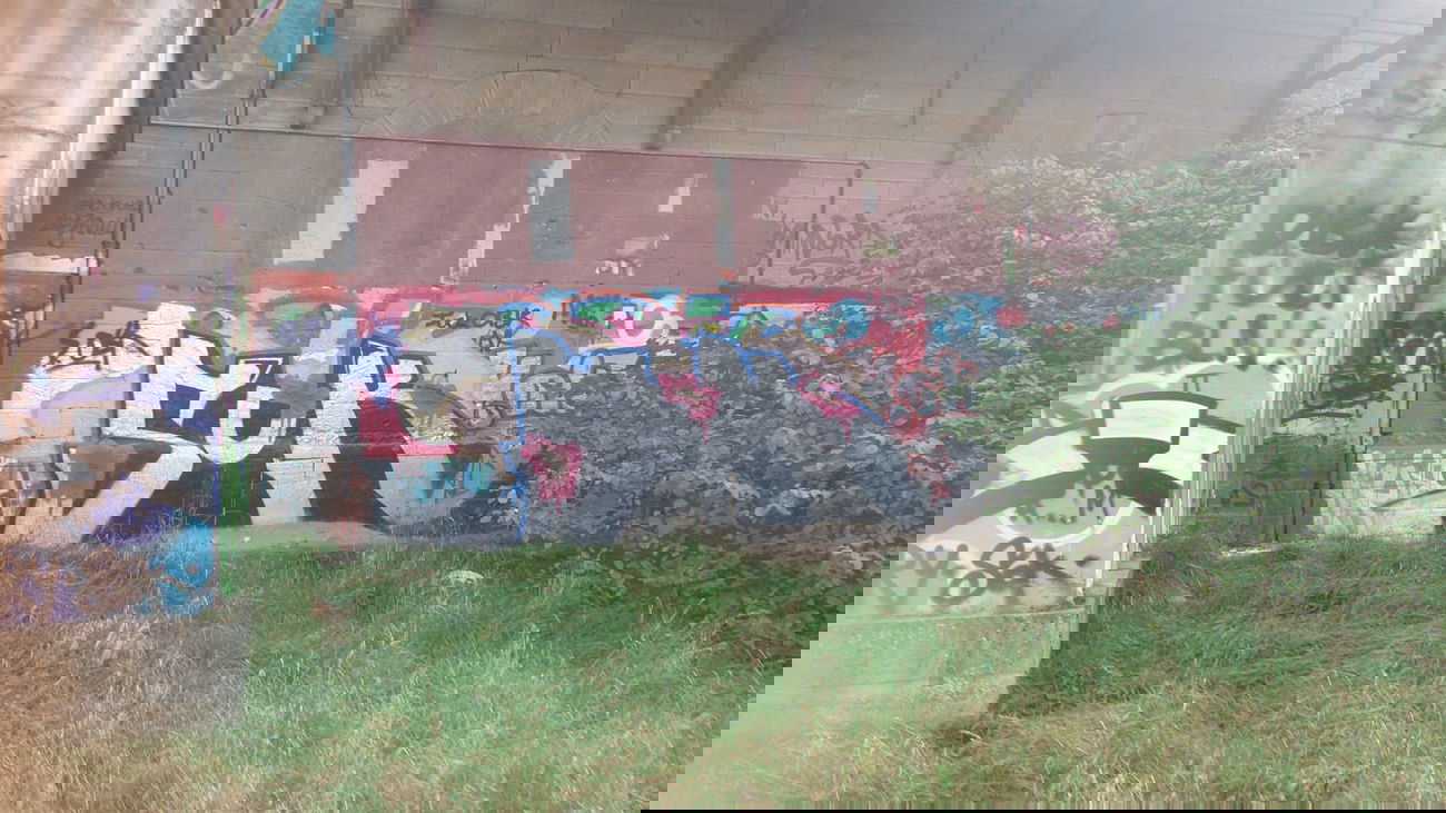 Graffiti Bombing - Photo by madmax