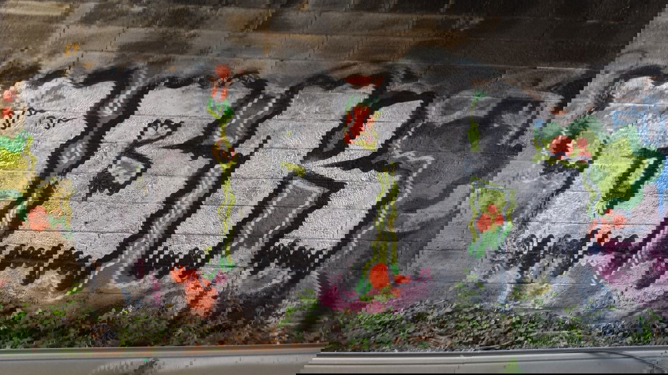 Graffiti Bombing - Photo by madmax - obk, nail, nert (2013)