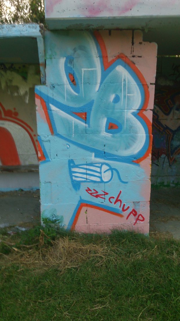 Graffiti Wall in Nievie? - Photo by madmax - obk (2013)