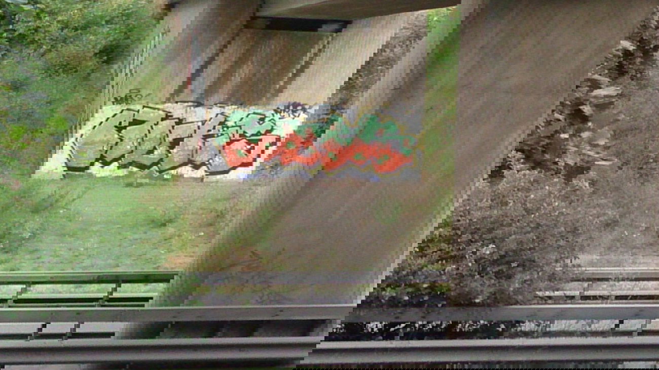 Graffiti Bombing - Photo by madmax