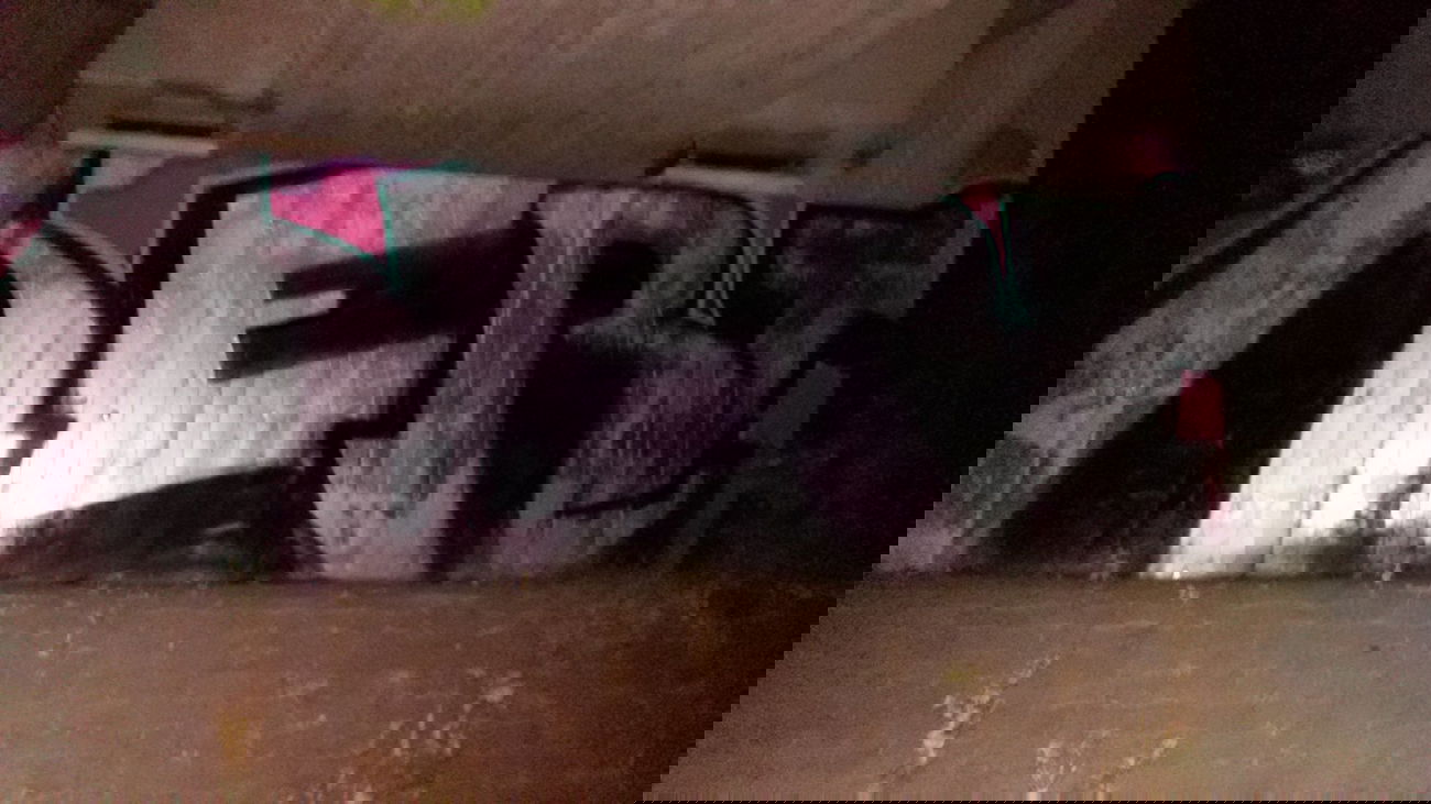 Graffiti Wall - Photo by madmax - nert (2014)