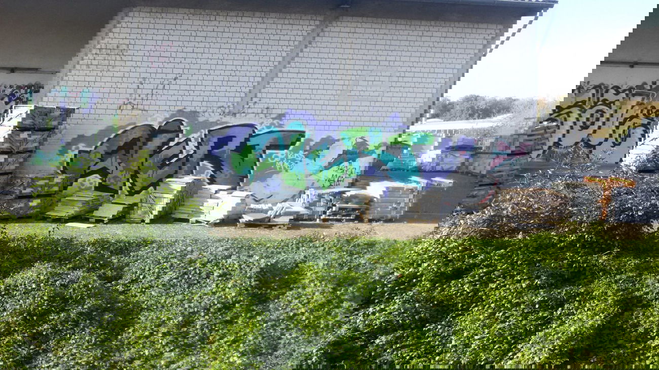 Graffiti Wall - Photo by madmax - nert (2014)