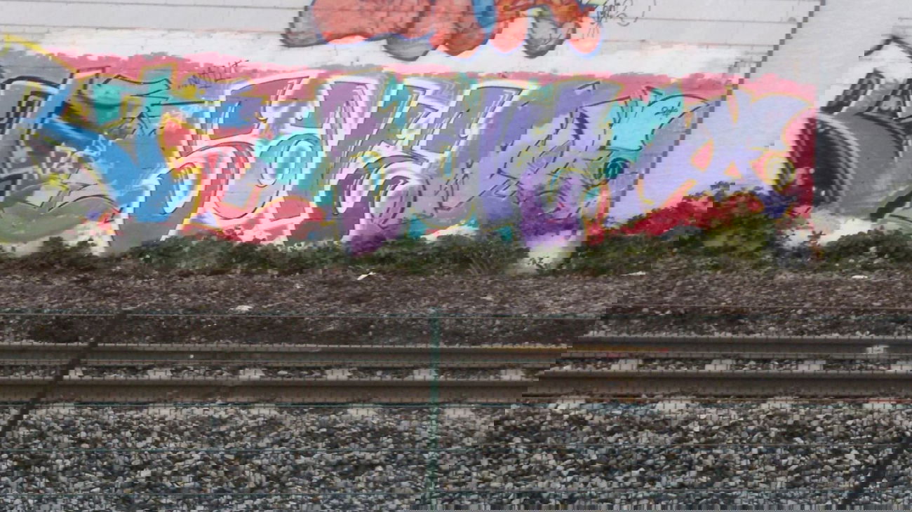 Graffiti Wall in mainz - Photo by madmax - save, nail (2014)