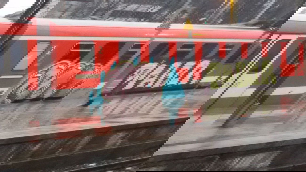 Graffiti Train - Photo by madmax - obc (2014)