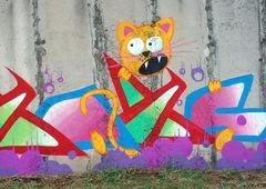 Photo #31213 by faryzeusz