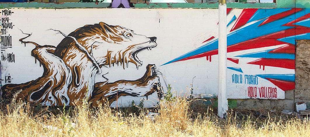 Graffiti Wall - Photo by malik - madrid, ospa, madkids (2014)