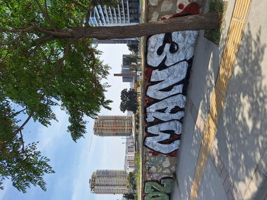 Graffiti Bombing in İzmir - Photo by maneater - izmir, turkey, maneater (2024)