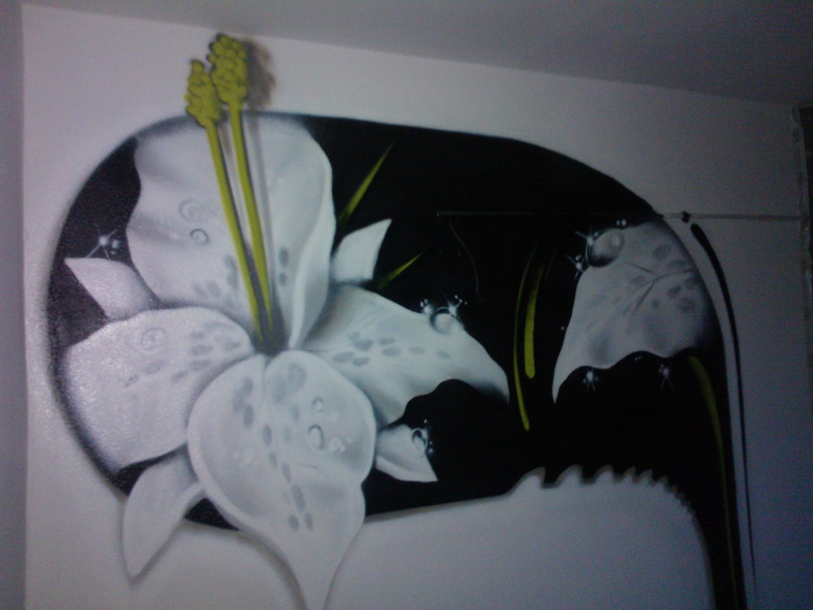 Graffiti Wall - Photo by manta18 - montwo (2013)