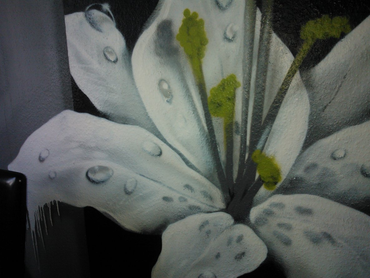 Graffiti Wall - Photo by manta18 - montwo (2012)