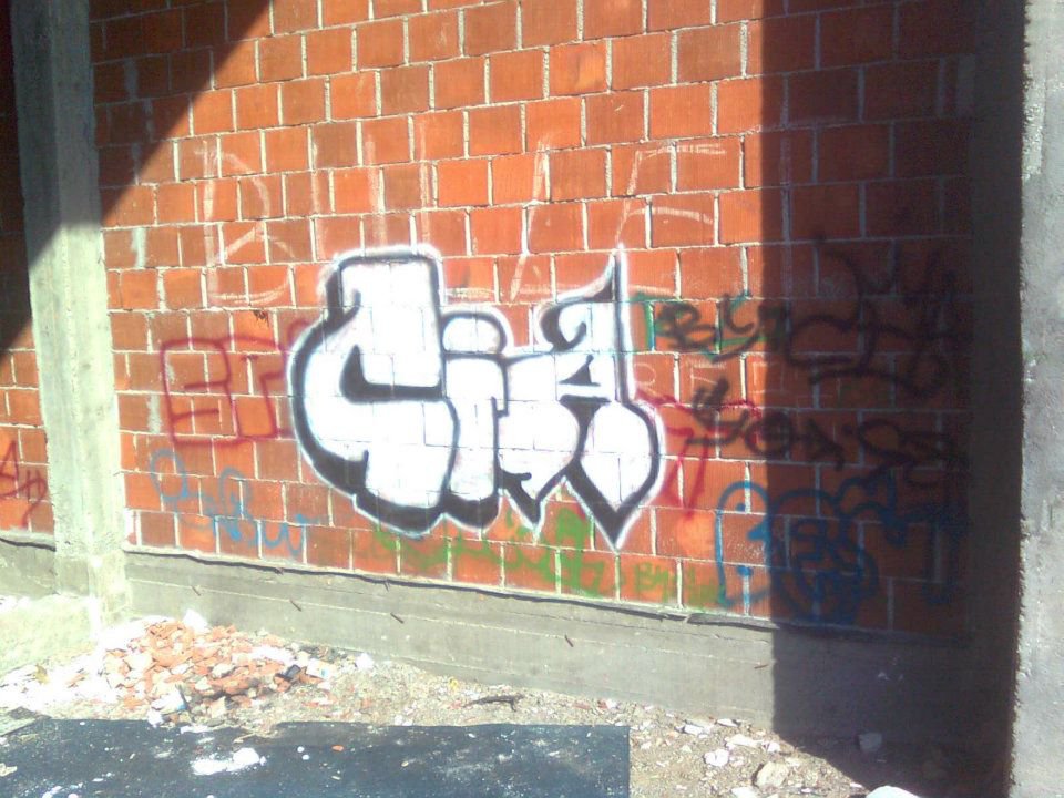 Graffiti Bombing in Ni - Photo by mareCIA - 2011-nis (2011)