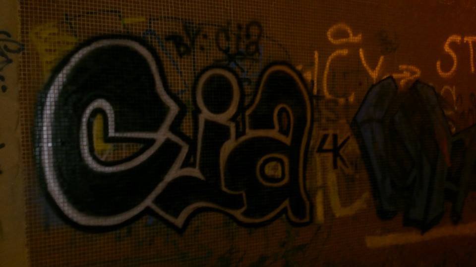 Graffiti Bombing in Ni - Photo by mareCIA - Serbia-graffiti-CIA (2014)