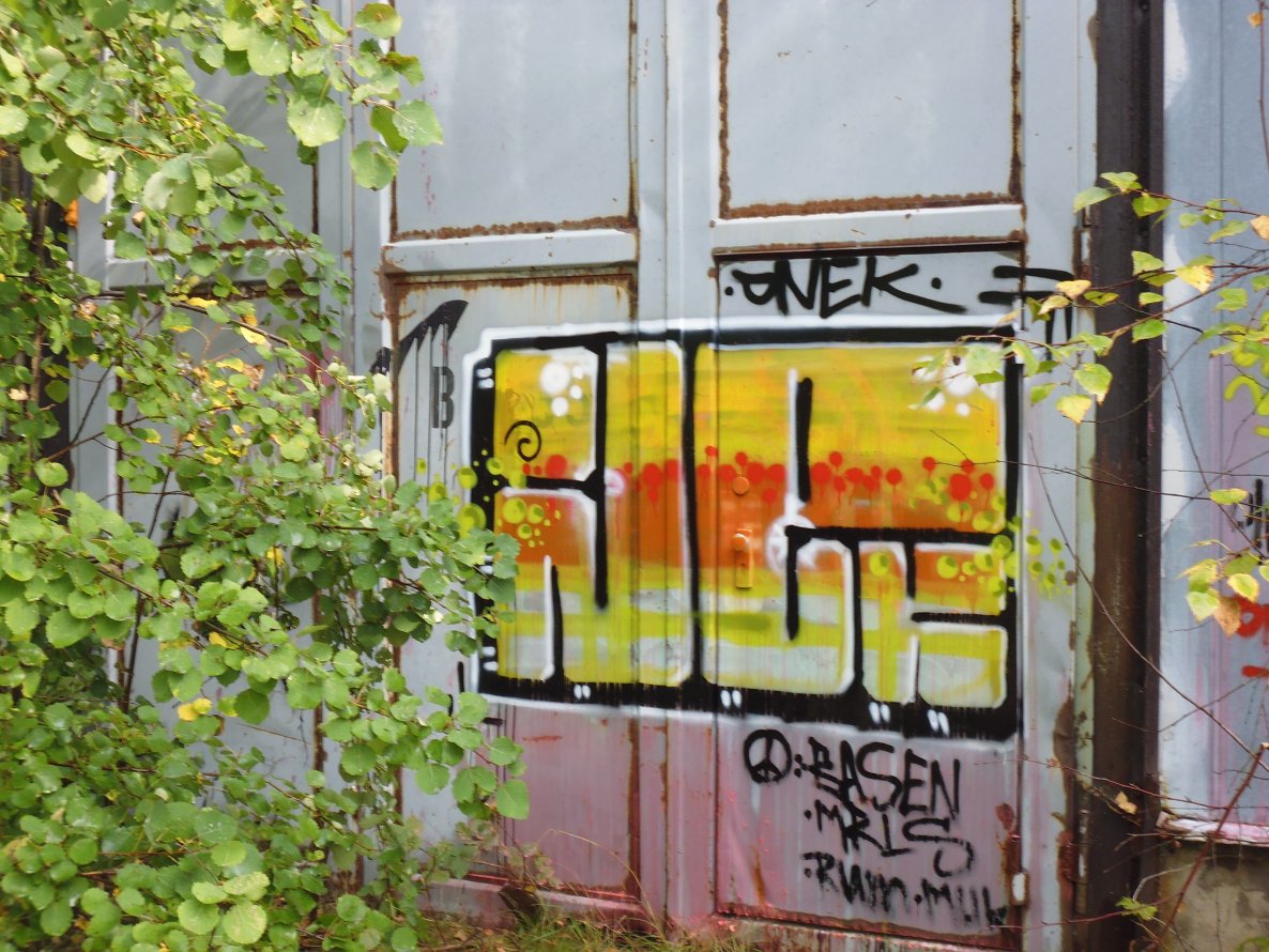 Graffiti Bombing - Photo by mariohanna - onek, drips, 2014 (2014)