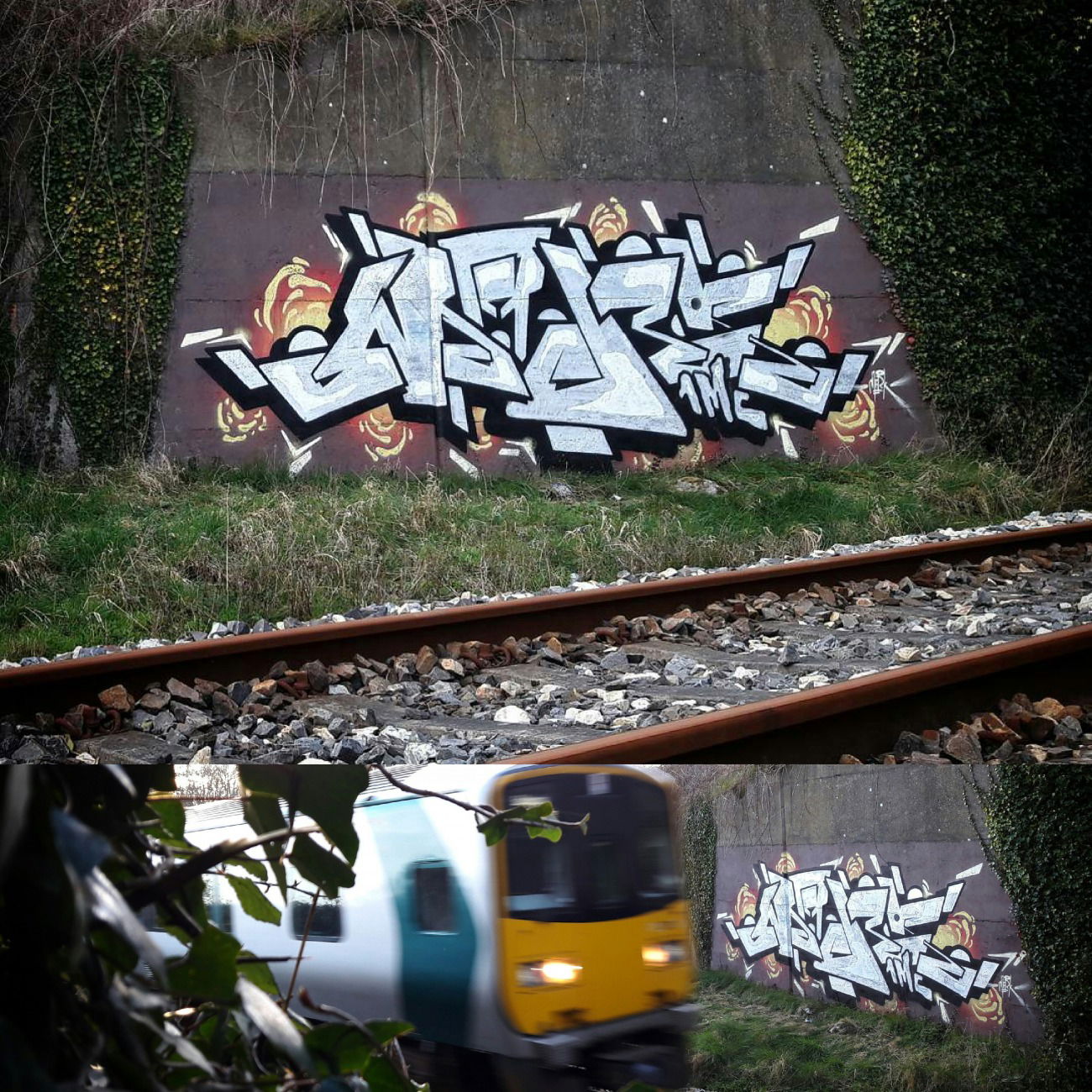 Graffiti Bombing - Photo by mark_szo (2017)