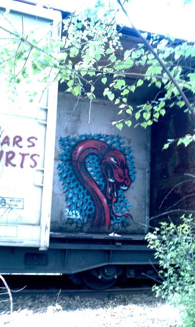 Graffiti Train - Photo by marx