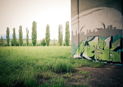 Photo #20858 by Sercan