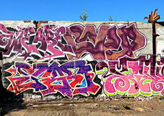 Photo #104520 by tgngrown