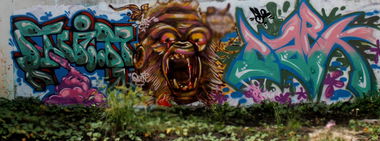 Graffiti Wall - Photo by maxcao - maxc (2013)