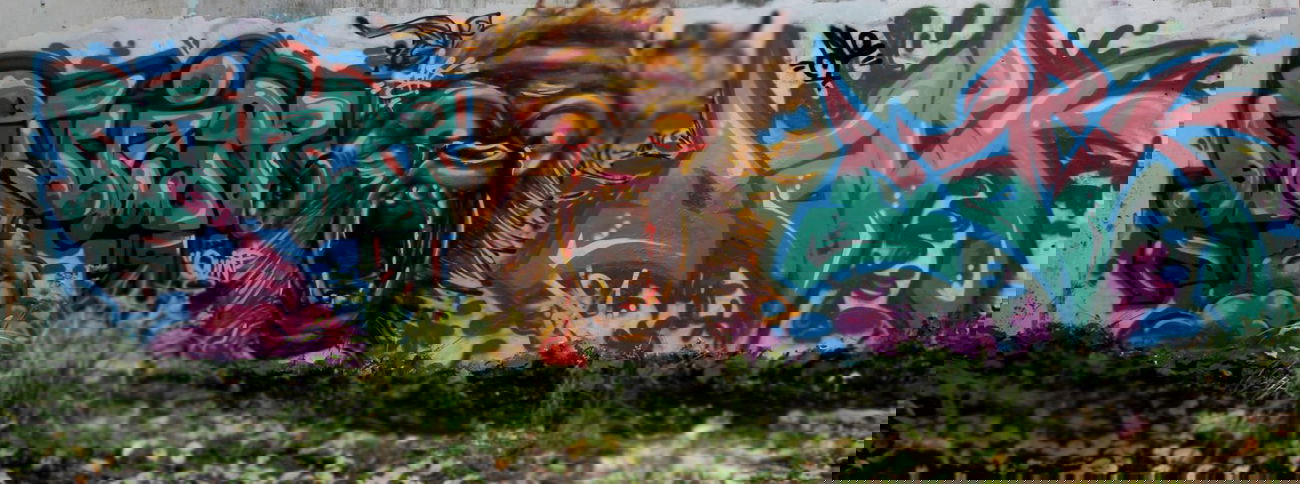 Graffiti Wall - Photo by maxcao - maxc (2013)