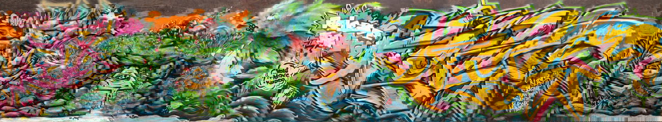 Graffiti Wall - Photo by maxcao - bird (2013)