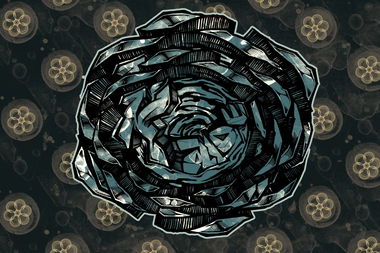 Graffiti Wall - Photo by maxcao - maxc (2014)