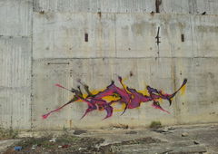 Photo #11165 by Belt